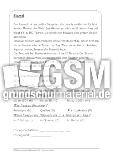 Blauwal.pdf